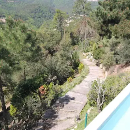 Claramande